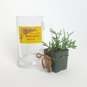 Miller High Life Beer Glass